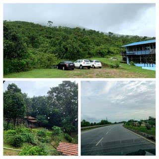 Photograph from the post of 22 Jul 2019